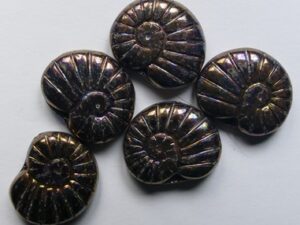 0030370 Jet Iris Luster Shell Beads 5 Pc - Afbeelding 1